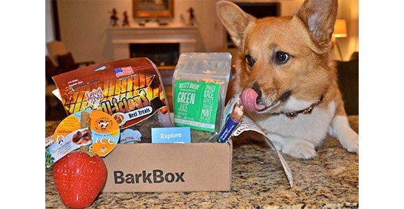 Barkbox Monthly Subscription Box