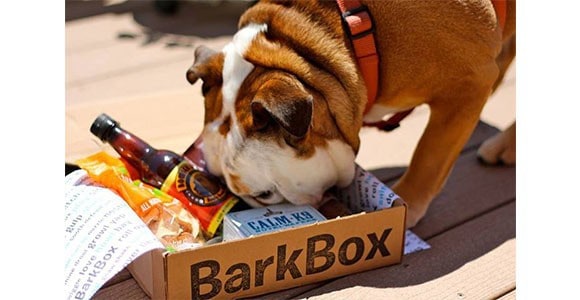 Barkbox Monthly Subscription Box