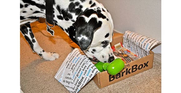 Barkbox Monthly Subscription Box