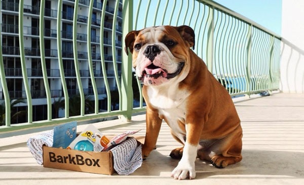 BarkBox Monthly Subscription Box for Dogs