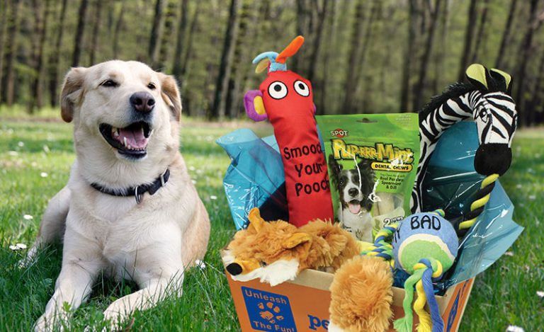 pet gift box phone number