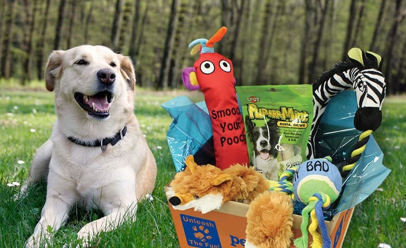 Pet Gift Box Find Subscription Boxes