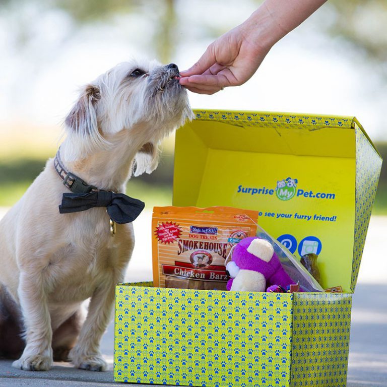 Surprise My Pet Subscription Box for Dogs