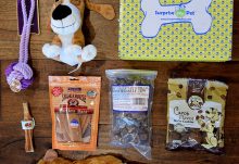 Surprise My Pet May 2015 Box Review - Box Contents