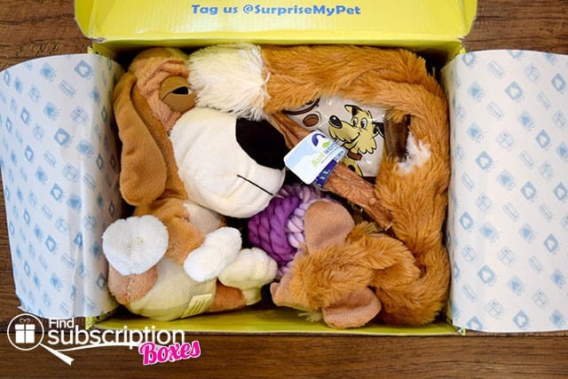 Surprise my shop pet box