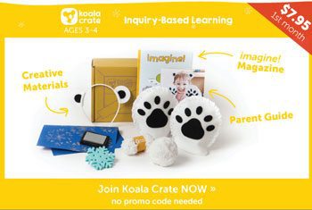 Black Friday Koala Crate