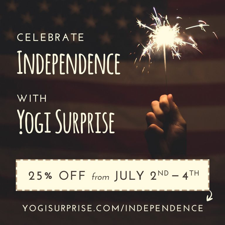 Yogi Surprise 4th of July Sale