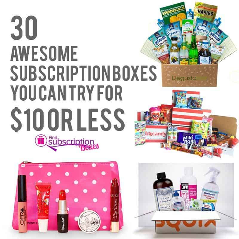 Cat subscription box shop $10