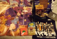 February 2017 Loot Anime Review - Box Contents