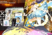 January 2017 Loot Anime Review - Dimension - Box Contents