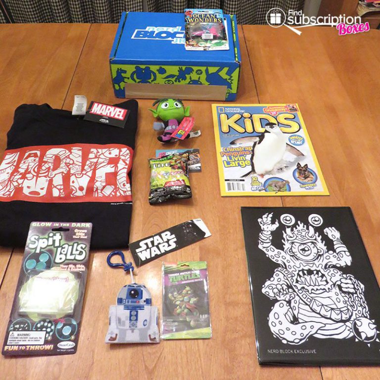 January 2017 Nerd Block Jr. for Boys Review - Box Contents