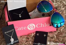 September 2017 Cate & Chloe VIP Box Review – Shades of Gray - Box Contents