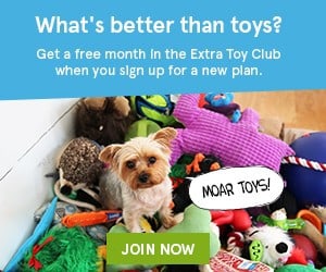 BarkBox Free Month Extra Toy Club