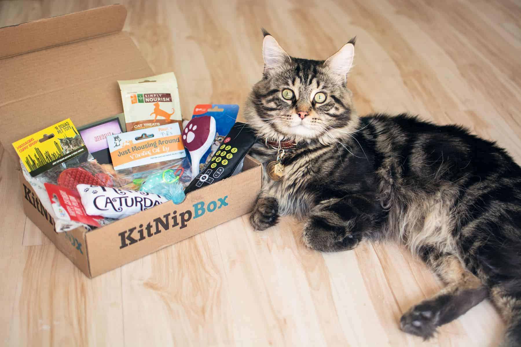 KitNipBox a monthly box of cat toys, treats, accessories