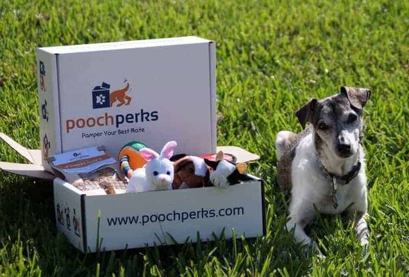 dog packages monthly
